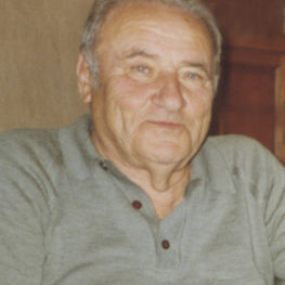 Mario Ferri